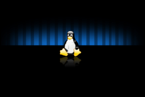 Linux Widescreen705729403 300x200 - Linux Widescreen - Widescreen, redhat, Linux